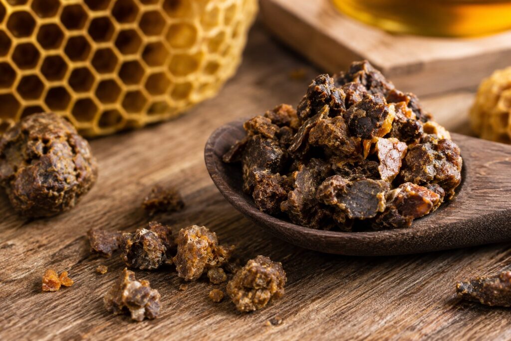 Was ist Propolis? – Das natürliche Schutzschild der Bienen